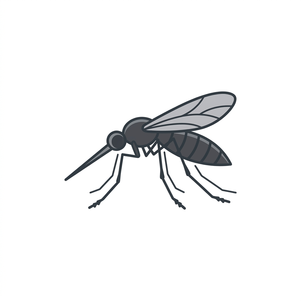 Moustique illustration
