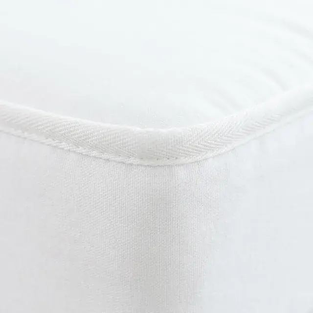 After bed bugs (Litterery)